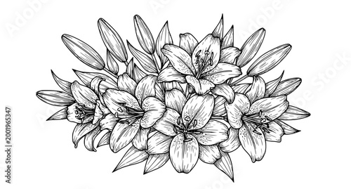 SEO Title
Elegant lily bouquet outline sketch hand drawn floral illustration for greeting cards and holidays