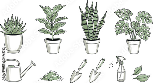 Set of potted house plants and gardening tools including monstera snake plant watering can shovel and hand sprayer vector illustration