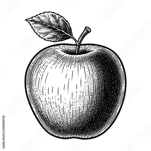 Detailed black and white illustration of a fresh apple with leaf on top, healthy food concept