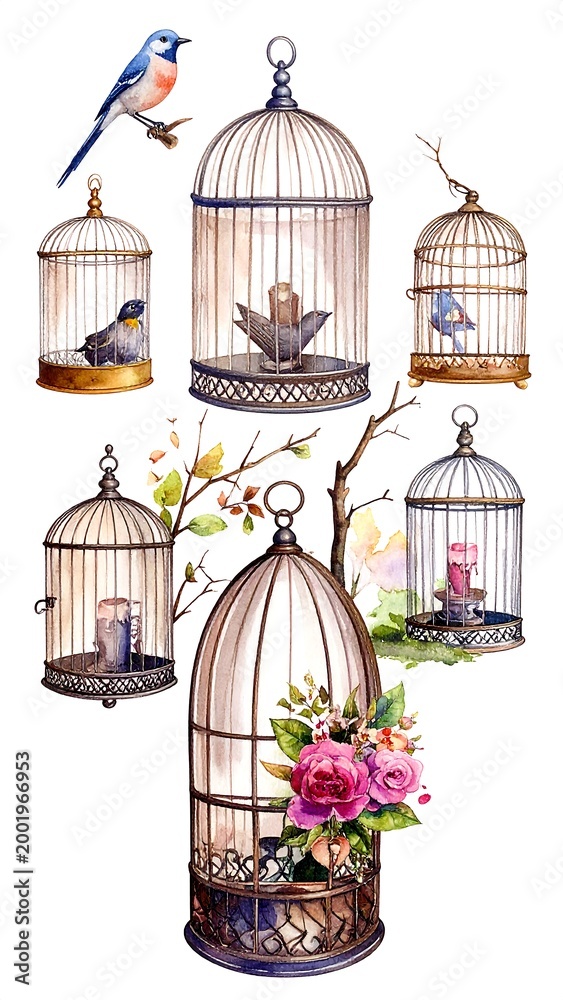 Obraz premium Birdcages Watercolor Set.