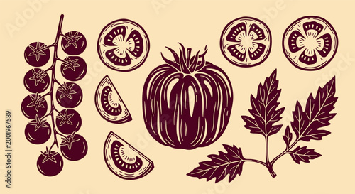 Set of hand drawn organic fresh tomatoes with cherry tomatoes on vine sliced pieces and green leaves hand drawn vector illustration