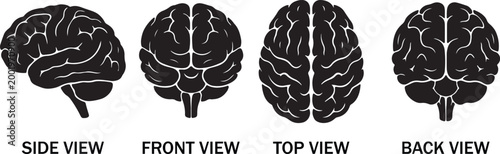 Human brain silhouette icons set side, front, back, and top views vector art illustration