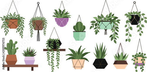Bild auf Leinwand A stylish set of flat vector illustrations featuring various indoor houseplants in decorative macrame hanging planters, geometric pots, and on wooden shelves