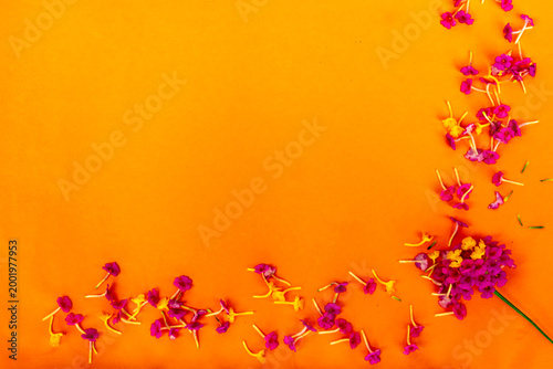 Obraz na płótnie Flowers frame on orange background. Top view with copy space