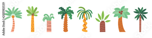 Tropical palm tree set. Cute Summer beach tree collection. Vector illustration isolated on white background.