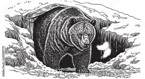 Foto Grizzly bear emerging from cave, wildlife illustration, black and white vector,