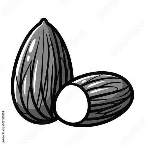 Two black walnuts isolated on white background, healthy snack