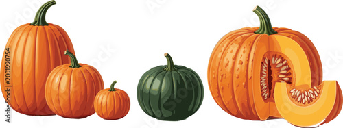 Realistic Pumpkin Vector Set with Whole and Cut Slices Including Orange and Green Varieties for Autumn Harvest Food Design