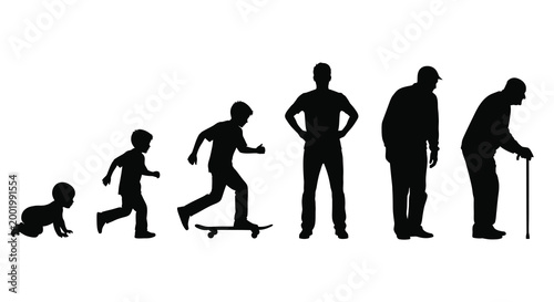 human life stages progression silhouette high quality professional