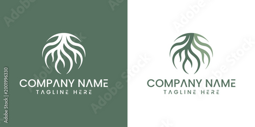 Bild auf Leinwand Green and white company logo template with leaf design on two backgrounds