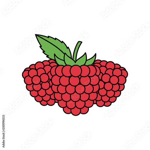 Fresh red raspberries illustration with green leaf isolated on white background