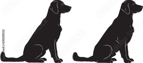 Two black labrador dogs sitting shown in silhouette black and white domestic animal portrait working dog family pet labrador silhouette illustration clean design isolated side view
