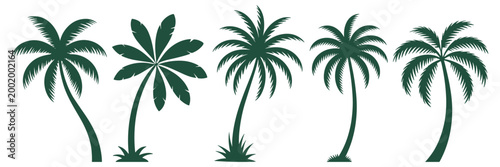 Collection of green palm tree silhouettes for tropical designs