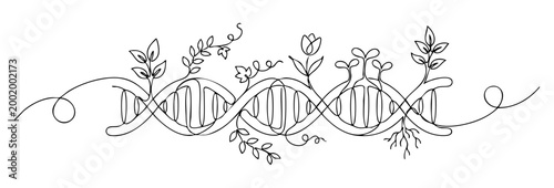Minimalist one-line illustration of a DNA double helix intertwined with blooming flowers and leaves