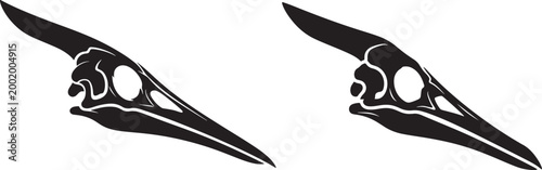 Two detailed black silhouettes of bird skulls with visible bone structure skeleton silhouette natural history wildlife creature illustration