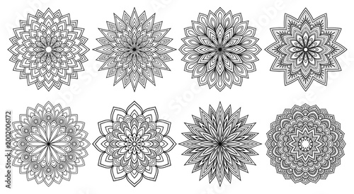 Fotografija Collection of intricate mandala line art designs