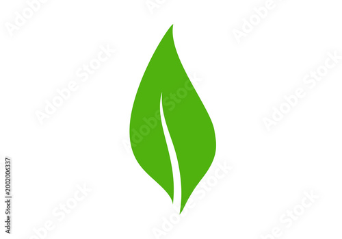 Single green leaf element design