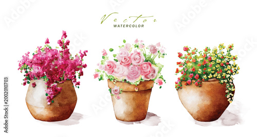 Set of watercolor flowers in terracotta pots