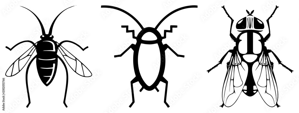 Fototapeta premium Set of Stylized Black and White Insect Icons