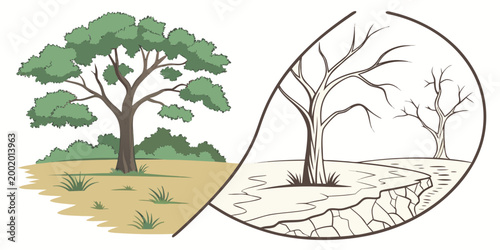 Картината върху платно Ecological contrast featuring living tree forest and cracked drought soil enviro
