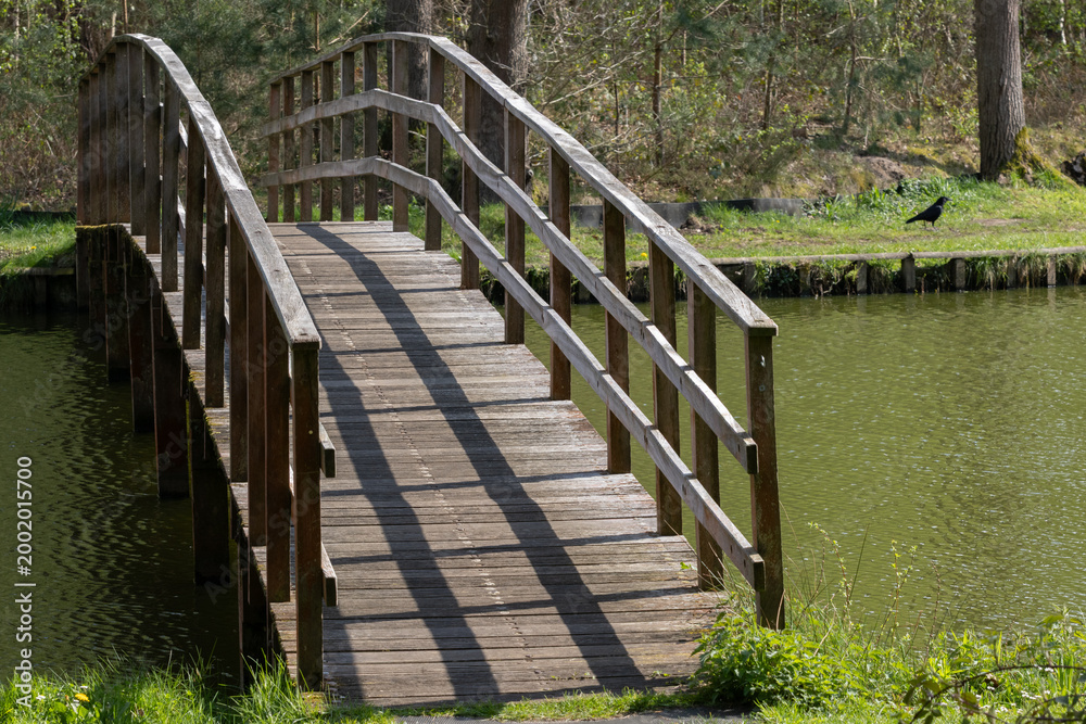 Fototapeta premium old wooden bridge