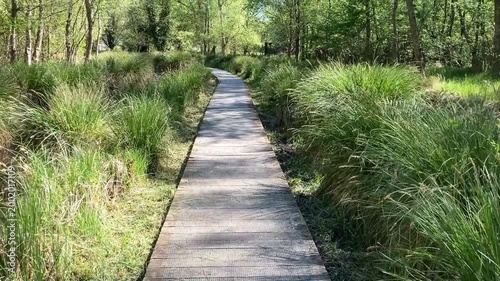 Balade au cœur du marais d'Isle.