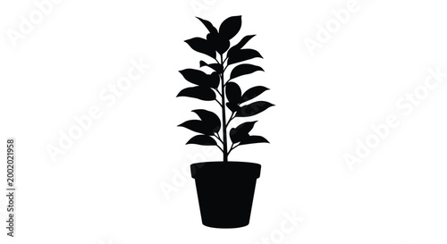 potted plant silhouette on white background high quality professional detailed modern