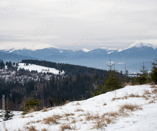 Winter evening overcast twilight mountains (Ukraine, Carpathians - Hoverla and Petros mountain peaks scenery view from Yablunytsia Pass).