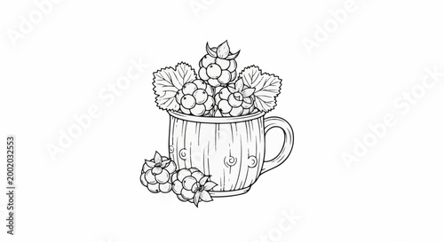 Detailed line drawing of cloudberries overflowing from a rustic mug