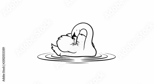 Elegant swan preening its feathers on tranquil water ripples