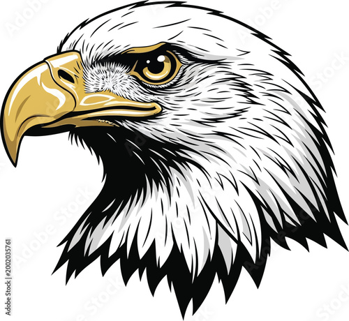 White bald eagle head with yellow beak and brown eye 1