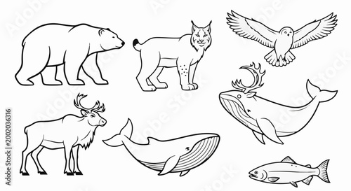 Diverse polar wildlife a bear, lynx, owl, reindeer, two whales, and a fish