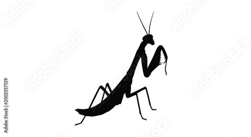 praying mantis silhouette high quality professional detailed modern