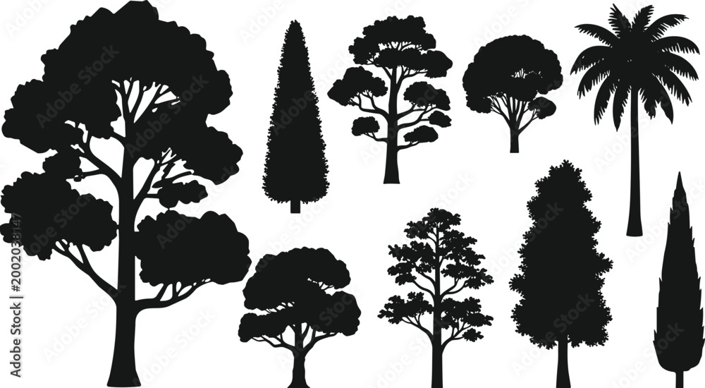 Fototapeta premium Tree silhouettes collection black vector set of various forest and garden trees isolated for landscape and design use