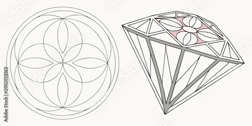 Detailed black line art illustration of a flower of life sacred geometry symbol next to a faceted diamond with a pink stylized top set on a clean white background color accent illustration