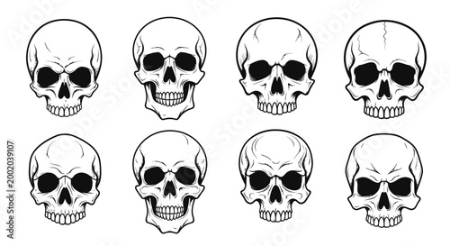 Skulls vector illustration set monochrome isolated