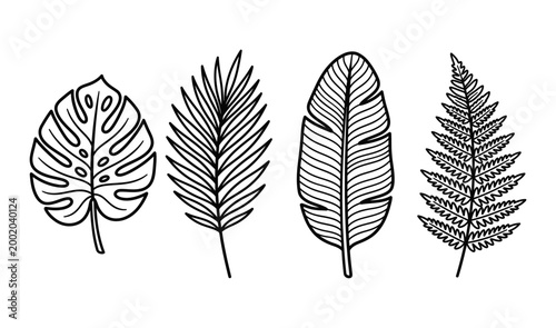 Set of Tropical leaves. Collection black leaves palm, fan palm, banana leaves. Nature leaves collection. Vector illustration.
