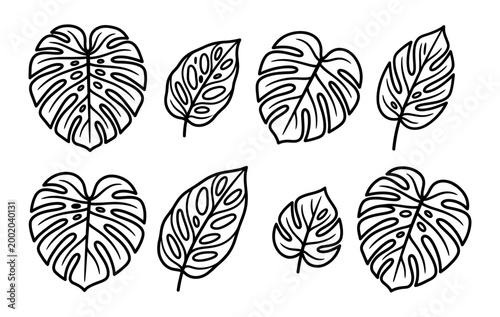 Set of leaf silhouette elements. Collection of monstera silhouettes on isolated background. Vector illustration