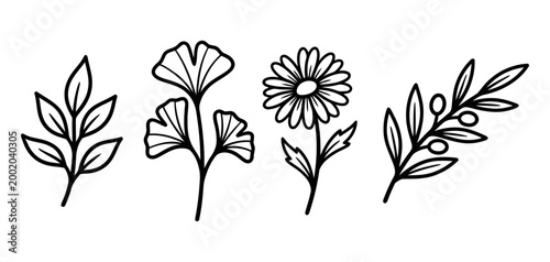 Tropical leaves, palm leaves silhouettes, diverse collection, black shapes, design elements, artistic embellishments, leaf vector