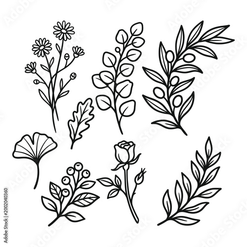 Tropical leaves, palm leaves silhouettes, diverse collection, black shapes, design elements, artistic embellishments, leaf vector