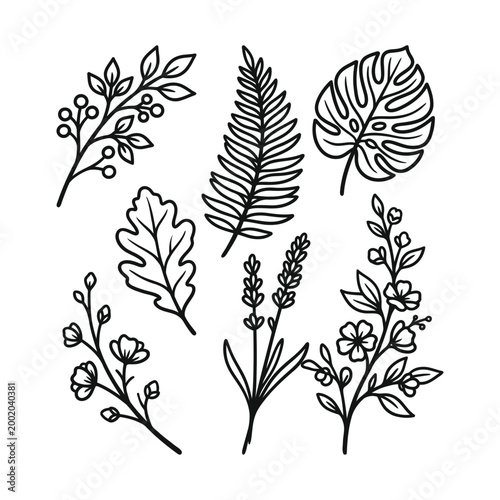 Tropical leaves, palm leaves silhouettes, diverse collection, black shapes, design elements, artistic embellishments, leaf vector