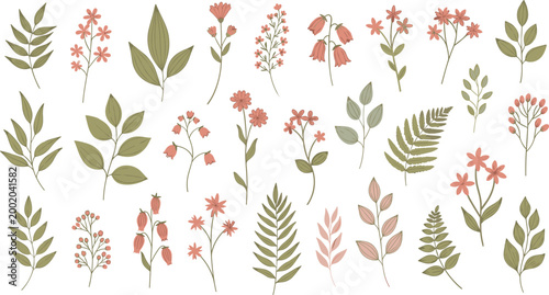 Foto Minimal botanical elements vector set featuring leaves, branches and small flowe