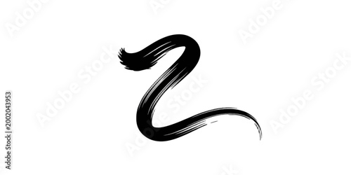 A black and white python isolated on a plain studio background shows a macro closeup of the wild reptile nature in an abstract style