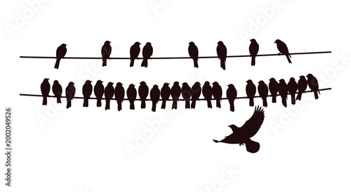 Cute small forest birds lined up on a rope, flat vector background artwork.