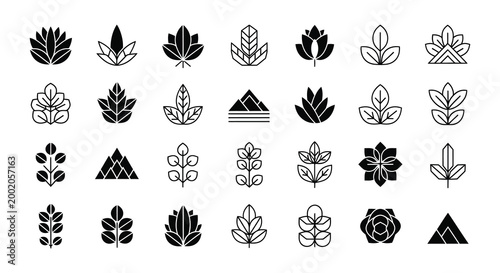 Collection of floral and leaf shapes linear design silhouette
