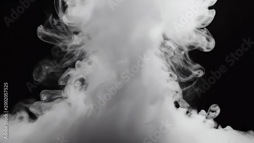A striking black and white image showcases swirling white paint against a stark black background, creating an abstract and dynamic visual effect.