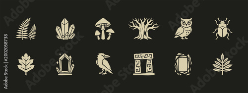 Set of mystical nature icons including owl raven crystals mushrooms and ancient stone ruins
