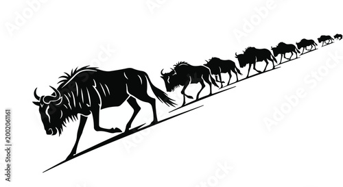 Photography Wildebeests walk in a long line across the african savanna during migration