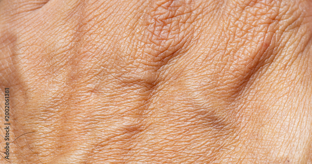Fototapeta premium Macro Detail of Human Skin Texture and Veins on Back of Hand,Extreme close-up shot showing the intricate details of human skin texture, pores, and visible veins on the back of an adult's hand.