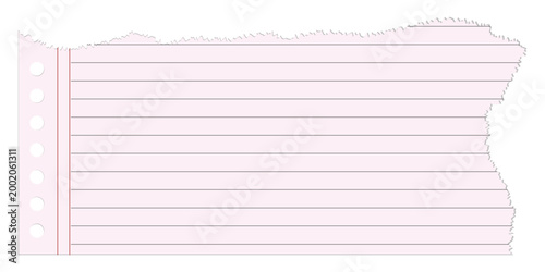 Torn piece of lined notebook paper with spiral binding holes vector illustration